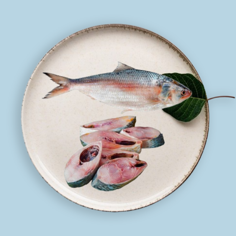 Hilsa