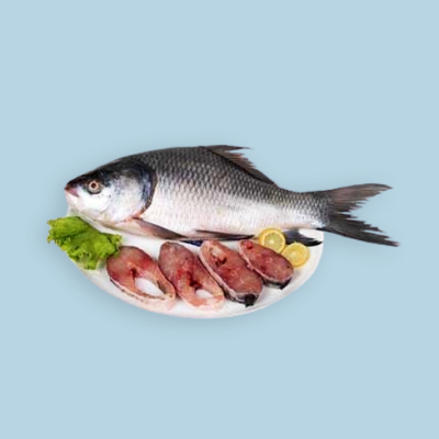 Katla Curry Cut with Head