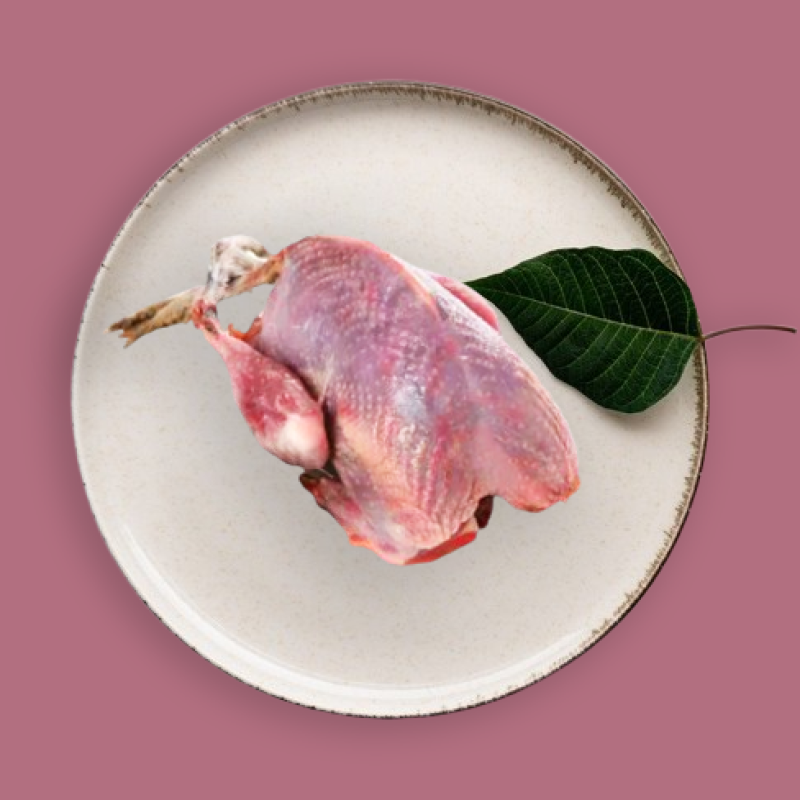 Pigeon Curry Cut