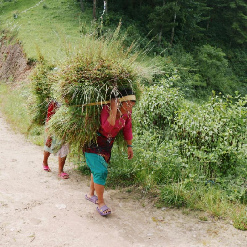 Focusing on Amlighat Farmers to Empower Local Communities.